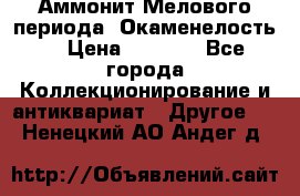 Аммонит Мелового периода. Окаменелость. › Цена ­ 2 800 - Все города Коллекционирование и антиквариат » Другое   . Ненецкий АО,Андег д.